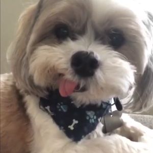 Meet your Posher, Cailynn